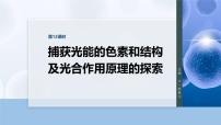 第三单元　第十二课时　捕获光能的色素和结构及光合作用原理的探索-2026年高考生物大一轮复习课件（含试题及答案）