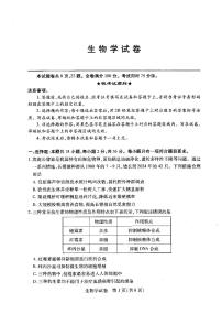 2025届湖北省武汉市高三下学期高考模拟考试生物试题（含答案）