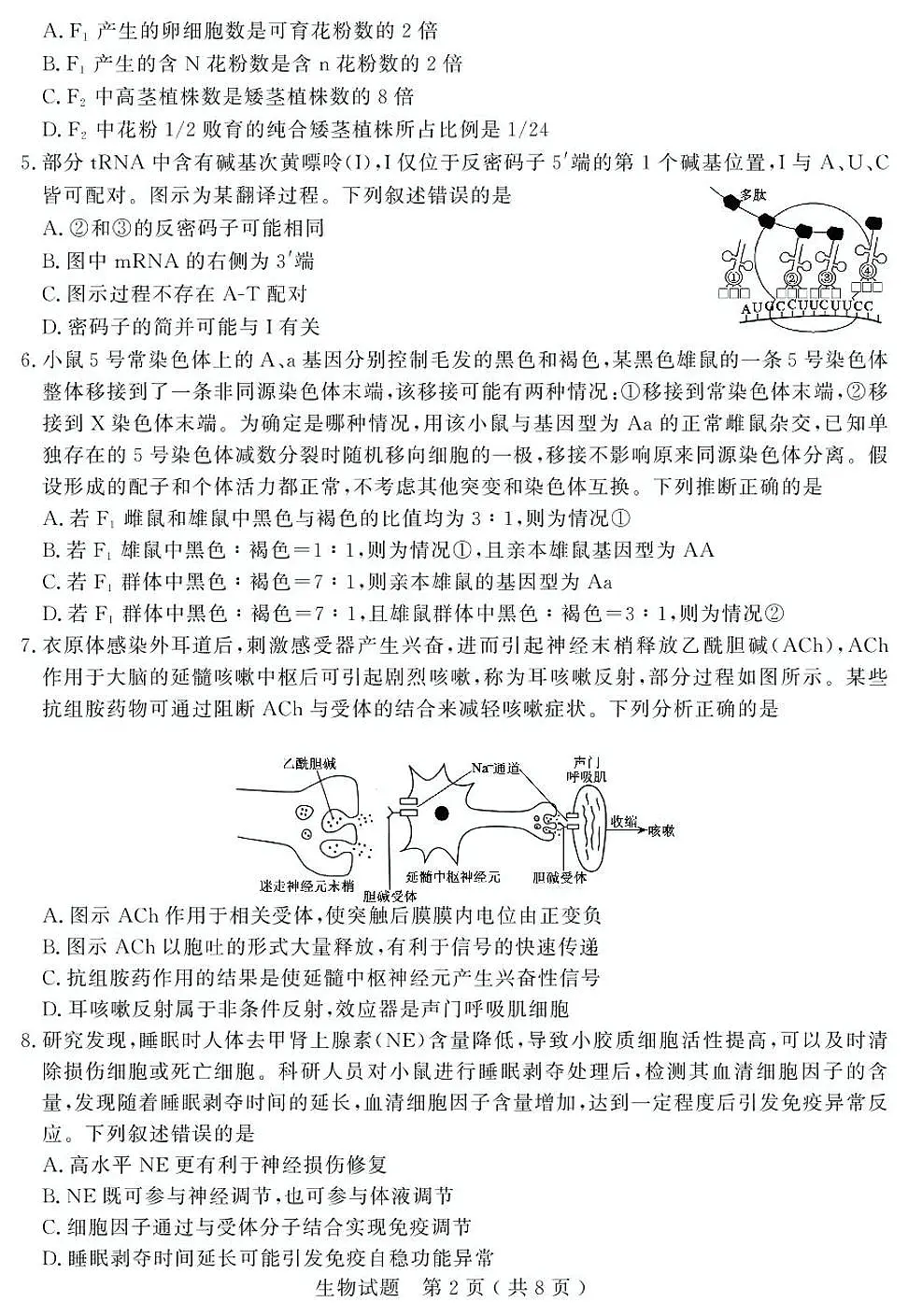 2025年山东省济宁市高三生物高考三模试题及其答案第2页