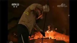 1.1《細胞生活的環(huán)境》課件