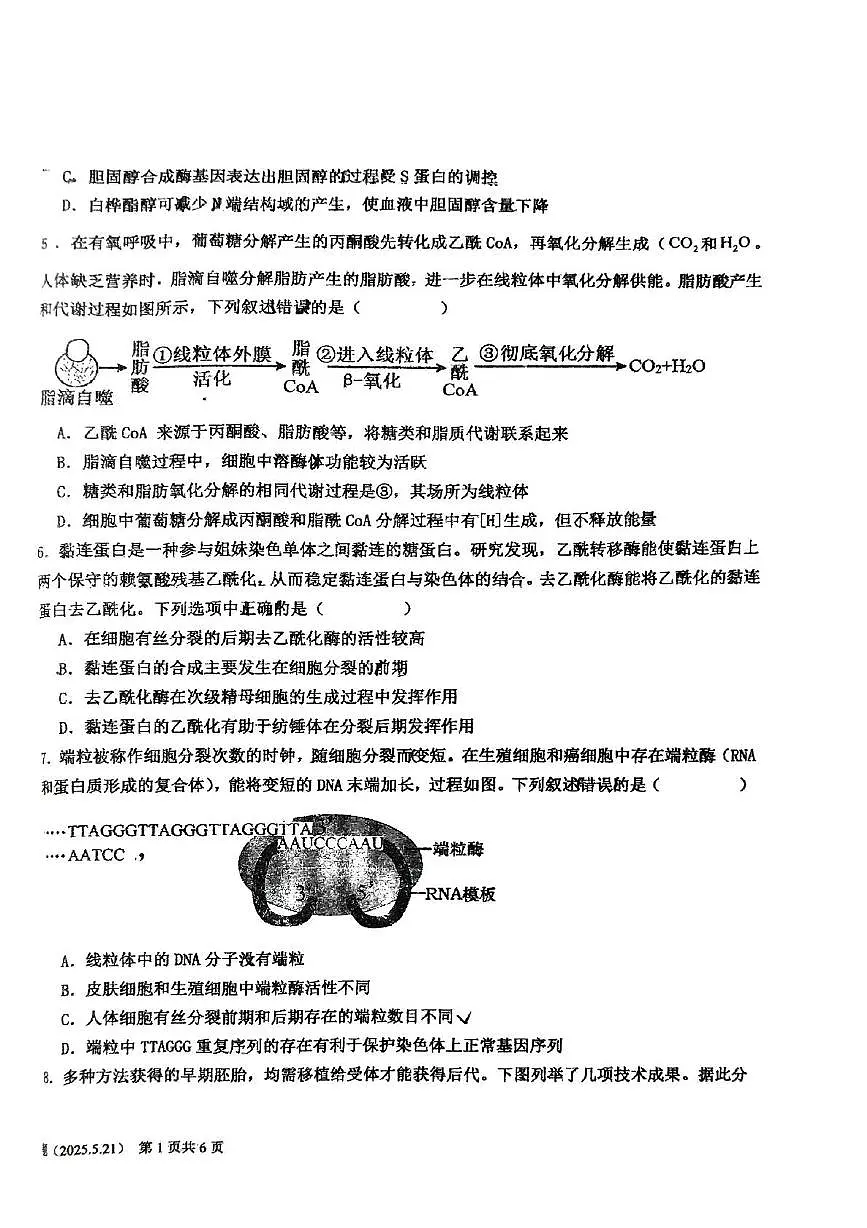 2025届黑龙江省大庆市龙凤区大庆市第四中学高三模拟预测生物试题(高考模拟)第2页
