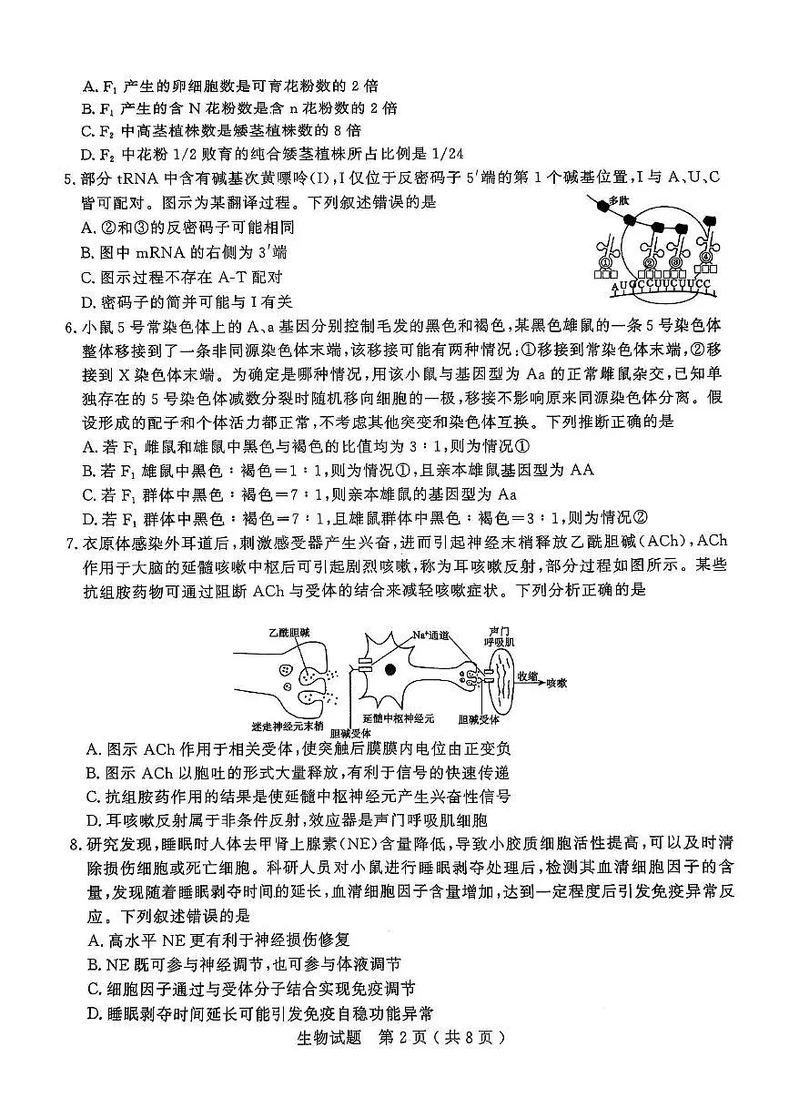 2025届山东省济宁市高三下学期5月模拟生物试题(高考模拟)第2页