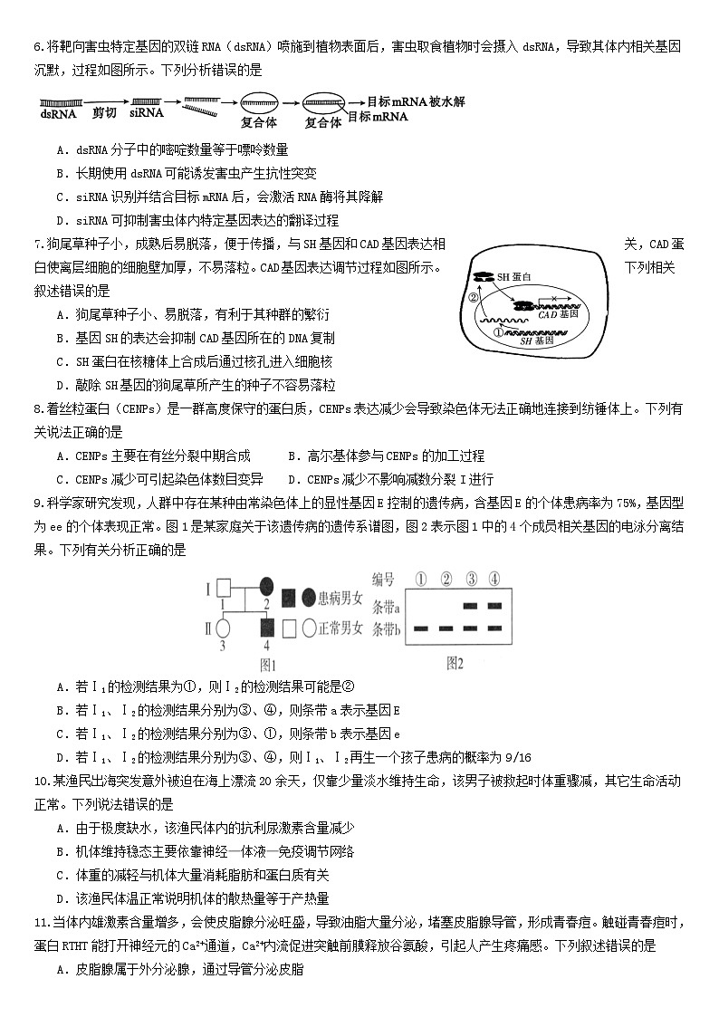 2025届湖北高考模拟生物试题(一)+(高考模拟)第2页