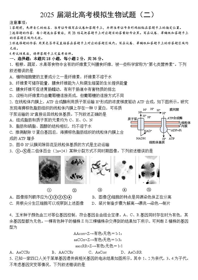 2025届湖北省高考模拟生物试题(二)+(高考模拟)第1页