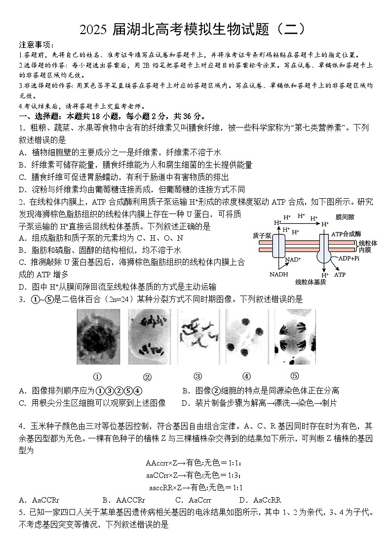 2025届湖北省高考模拟生物试题(二)+(高考模拟)第1页