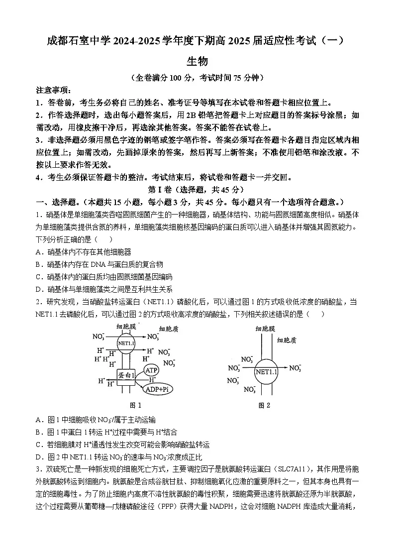 2025届四川省成都石室中学高三适应性考试(一)生物试题(高考模拟)第1页