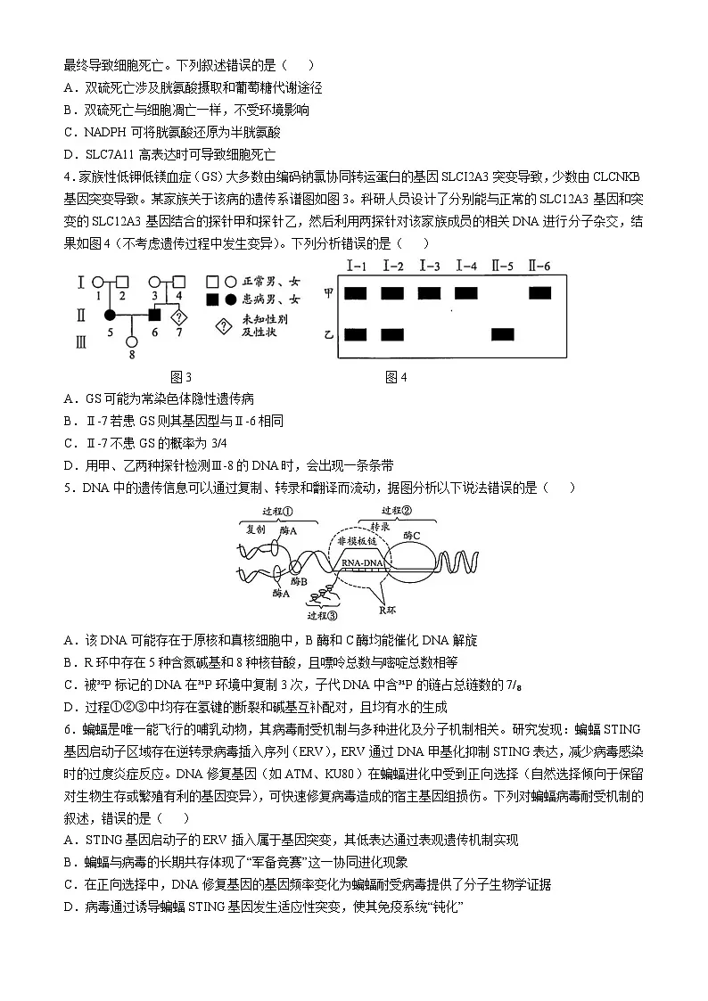 2025届四川省成都石室中学高三适应性考试(一)生物试题(高考模拟)第2页