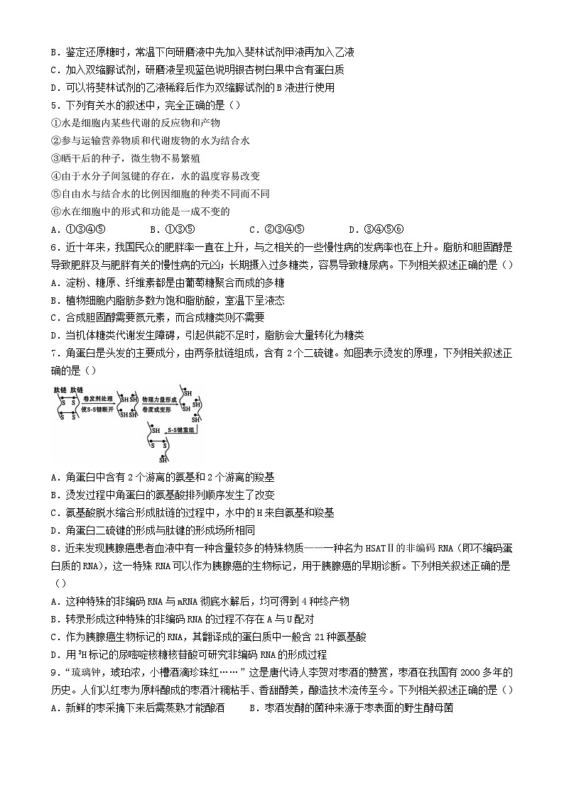 河南省商丘市2023_2024学年高二生物下学期7月期末考试含解析第2页