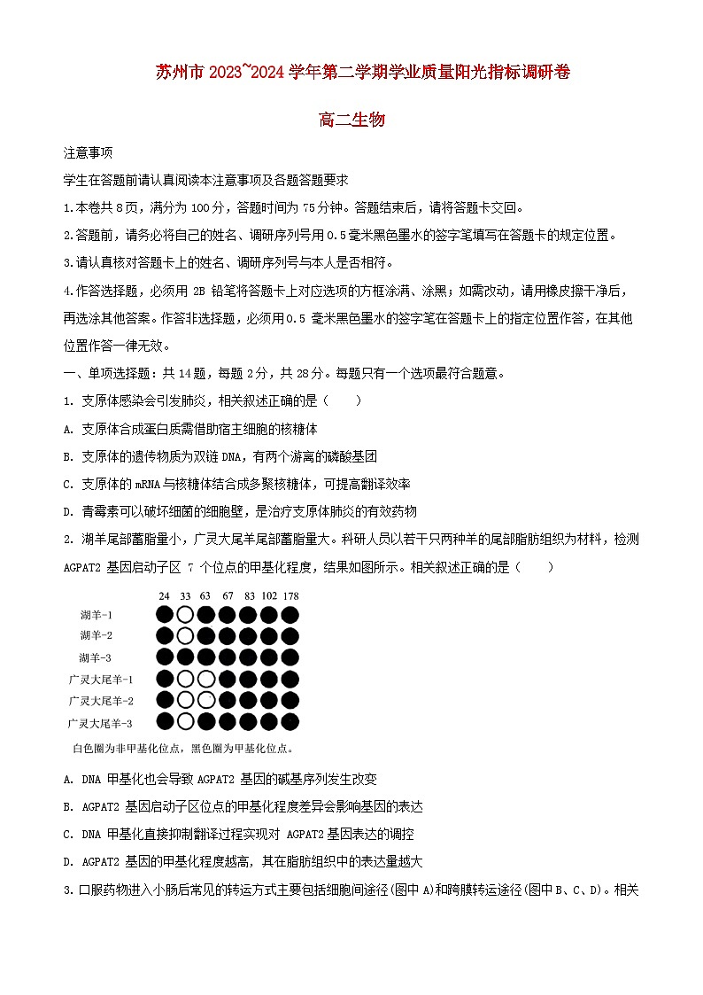 江苏省苏州市2023_2024学年高二生物下学期6月期末考试含解析第1页