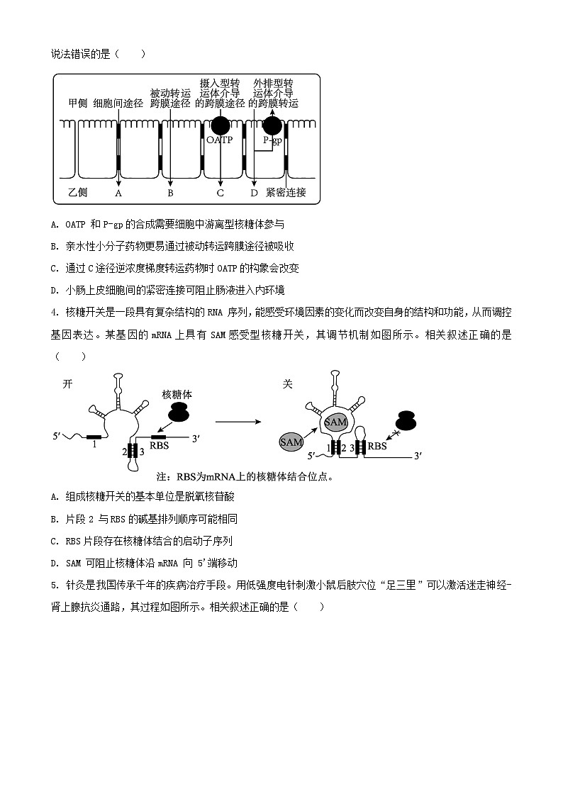 江苏省苏州市2023_2024学年高二生物下学期6月期末考试含解析第2页
