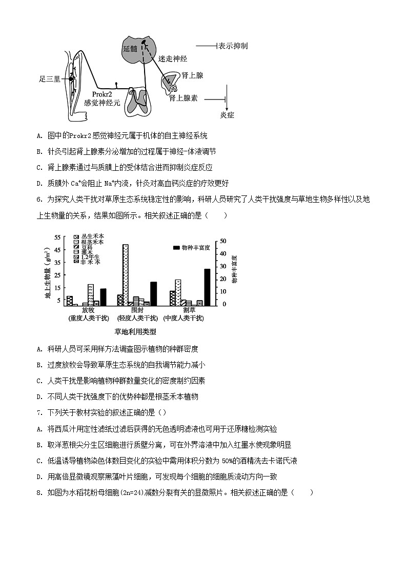 江苏省苏州市2023_2024学年高二生物下学期6月期末考试含解析第3页
