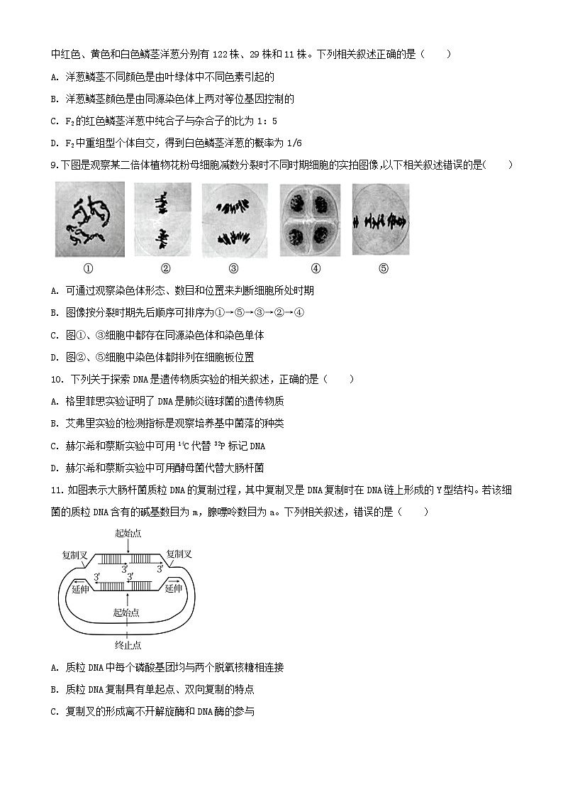 江苏省盐城市2023_2024学年高一生物下学期6月期末考试含解析第3页