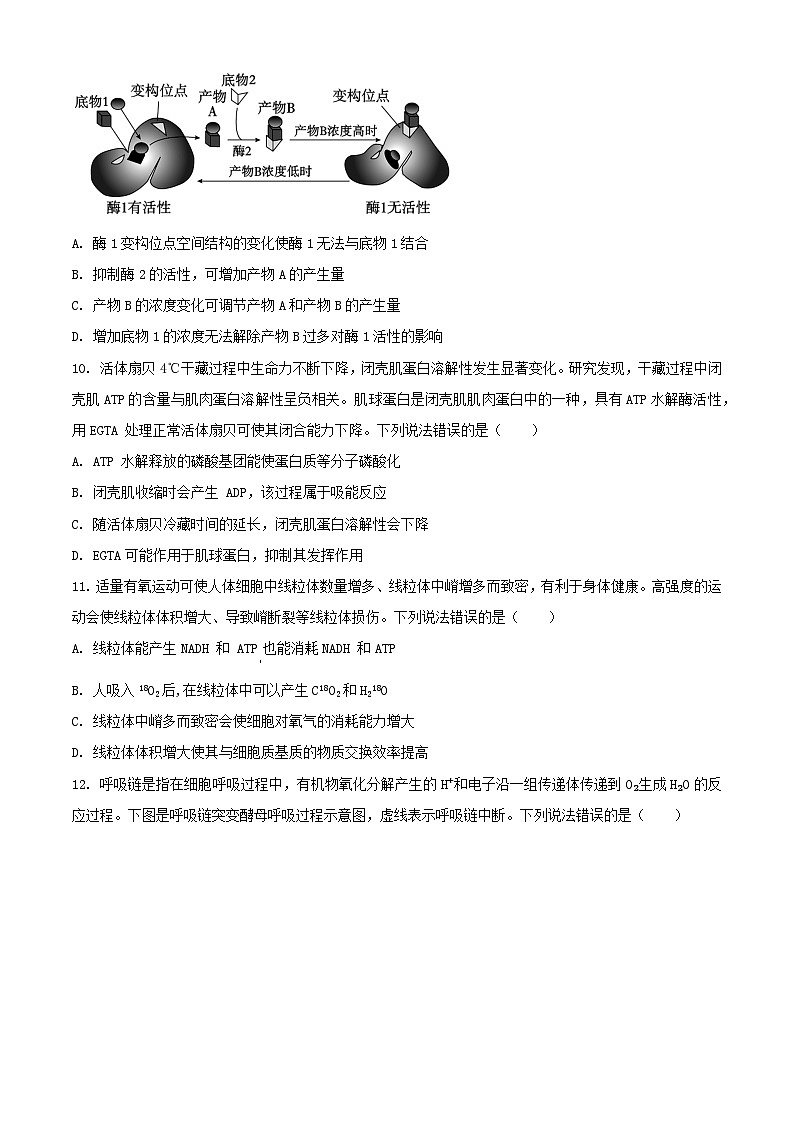 山东省烟台市2023_2024学年高二生物下学期7月期末考试含解析第3页