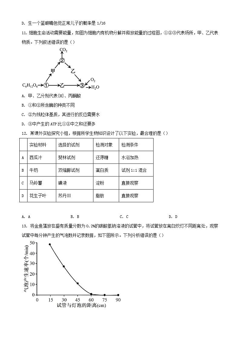 广东省茂名市2023_2024学年高一生物下学期7月期末考试含解析第3页