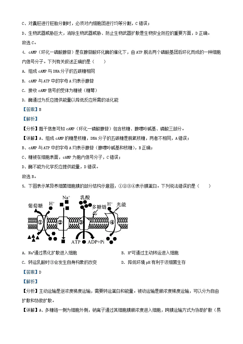 浙江省宁波市2024届高三生物下学期5月阶段性考试试题含解析第3页