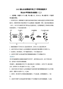 2025届山东省聊城市高三下学期普通高中学业水平等级考试模拟（二）生物试题（解析版）