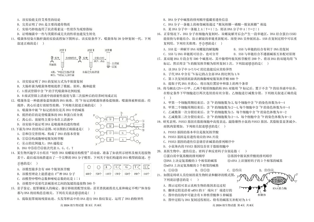 2024级第二次月考试生 物 试 题第2页