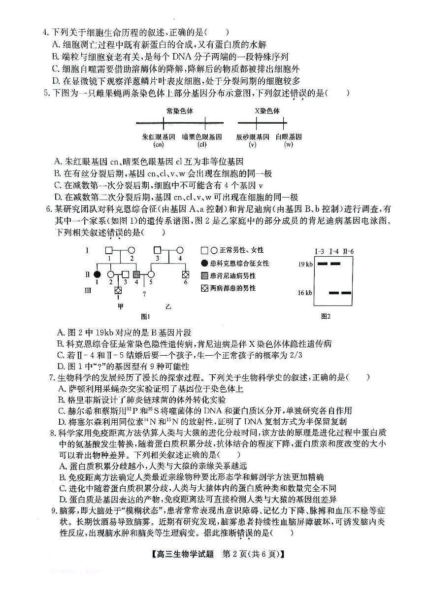 安徽省五校联考2025届高三下学期5月第二次联考试题 生物 PDF版含答案第2页