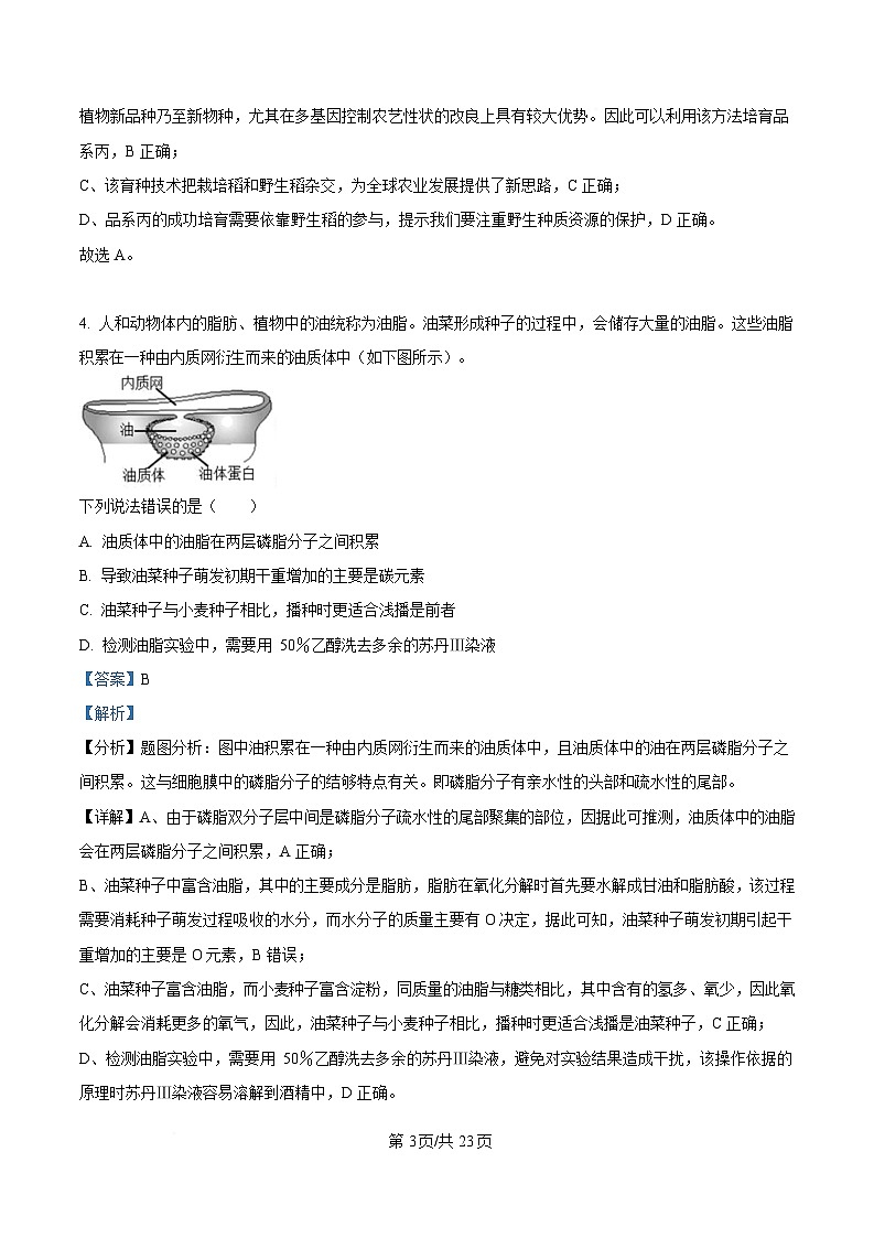 四川省眉山中学校2024—2025学年高三下学期第三次模拟考试生物试题 Word版含解析第3页