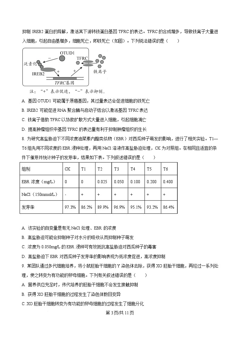 四川省眉山中学校2024—2025学年高三下学期第三次模拟考试生物试题(原卷版)第3页