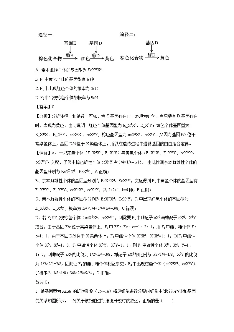 湖南省湖南省部分学校2023-2024学年高一下学期7月期末生物试卷(解析版)第2页