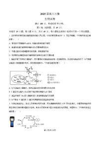 四川省眉山市仁寿县仁寿第一中学南校区2024—2025学年高三下学期第三次模拟考试生物试卷(Word版附解析)