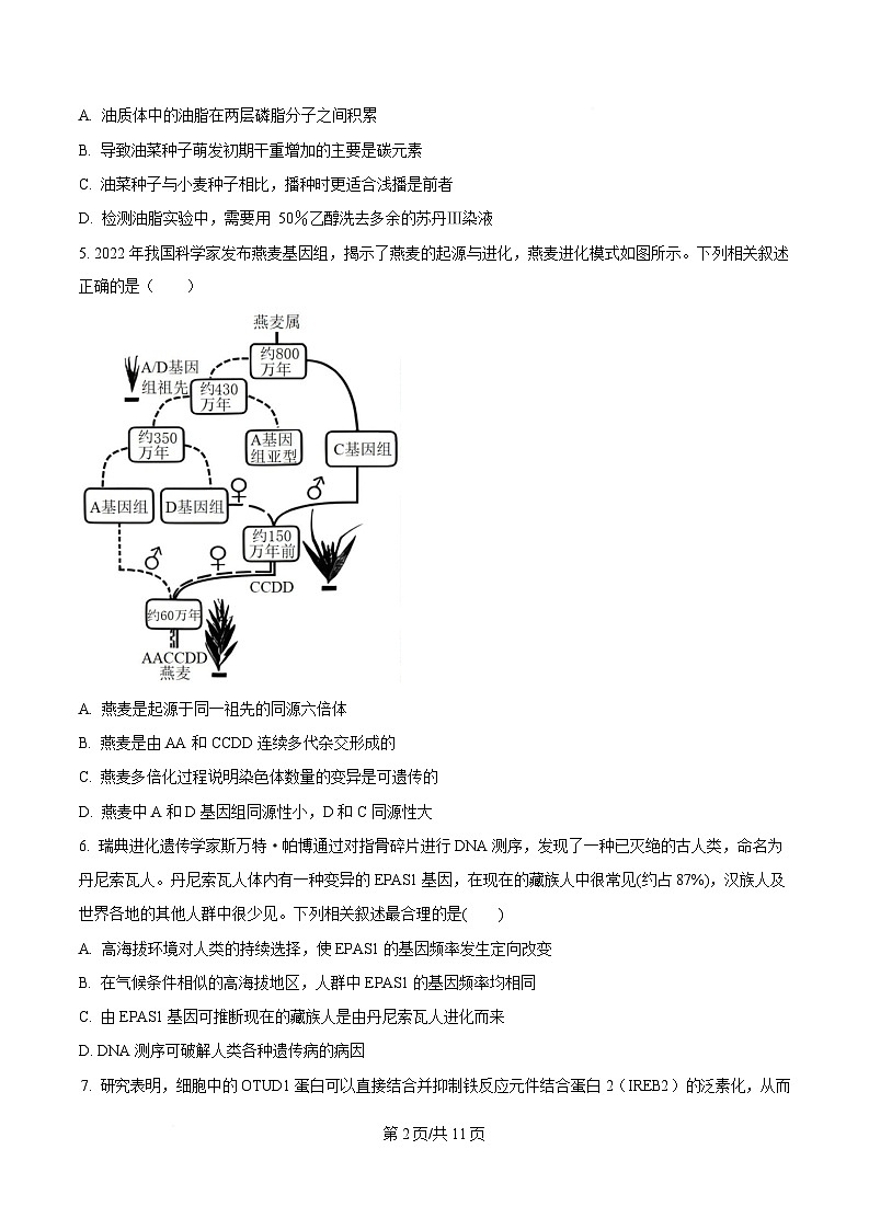 四川省眉山中学校2024—2025学年高三下学期第三次模拟考试生物试题(原卷版)第2页