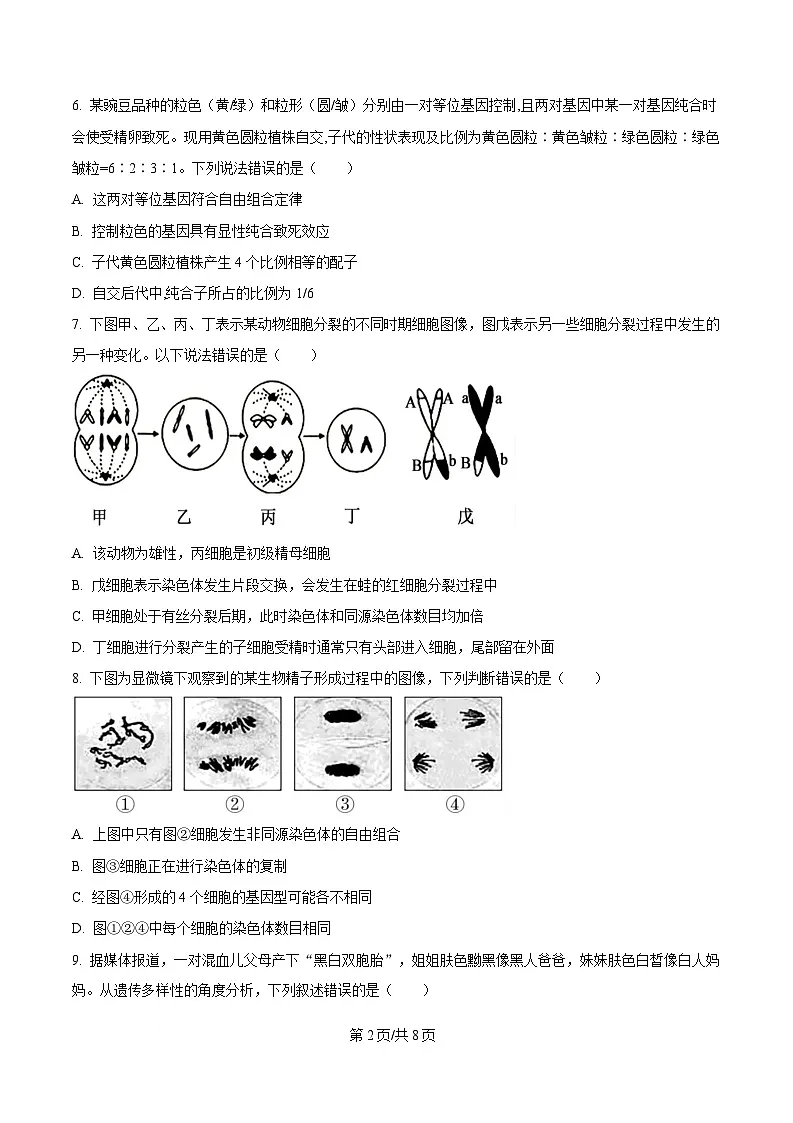 四川省内江市资中县第二中学2024-2025学年高一下学期4月期中生物试题(原卷版)第2页
