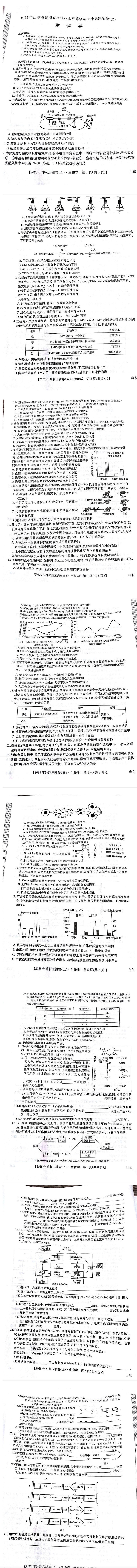 2024-2025学年高三下学期冲刺压轴卷(五)五生物试题第1页