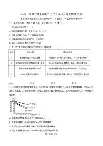 四川省乐山第一中学2025届高三下学期4月考试生物试题（Word版附解析）