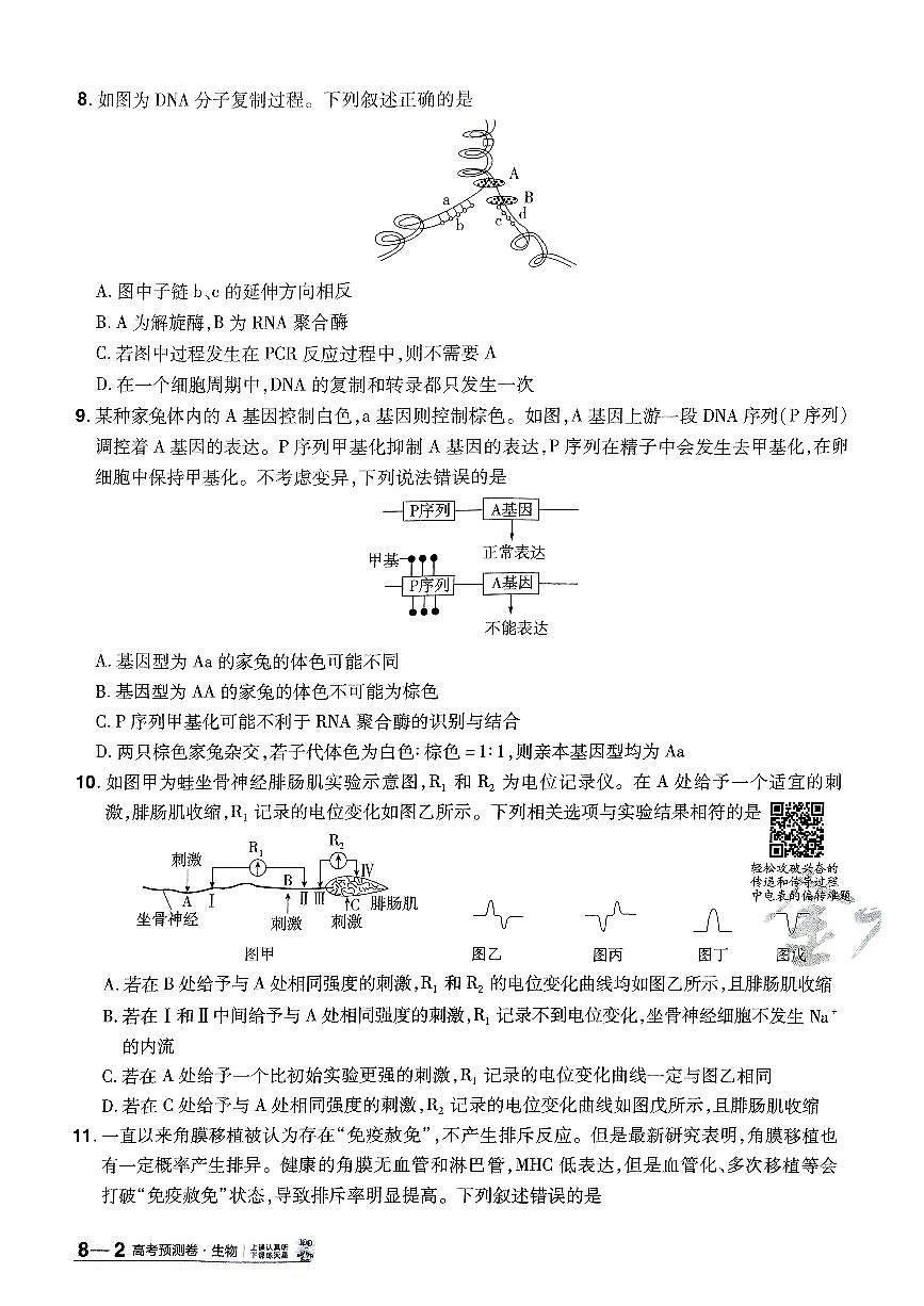 2025年高三生物高考金考卷高考押题预测卷模拟考试试卷八(全国卷)及其答案第3页