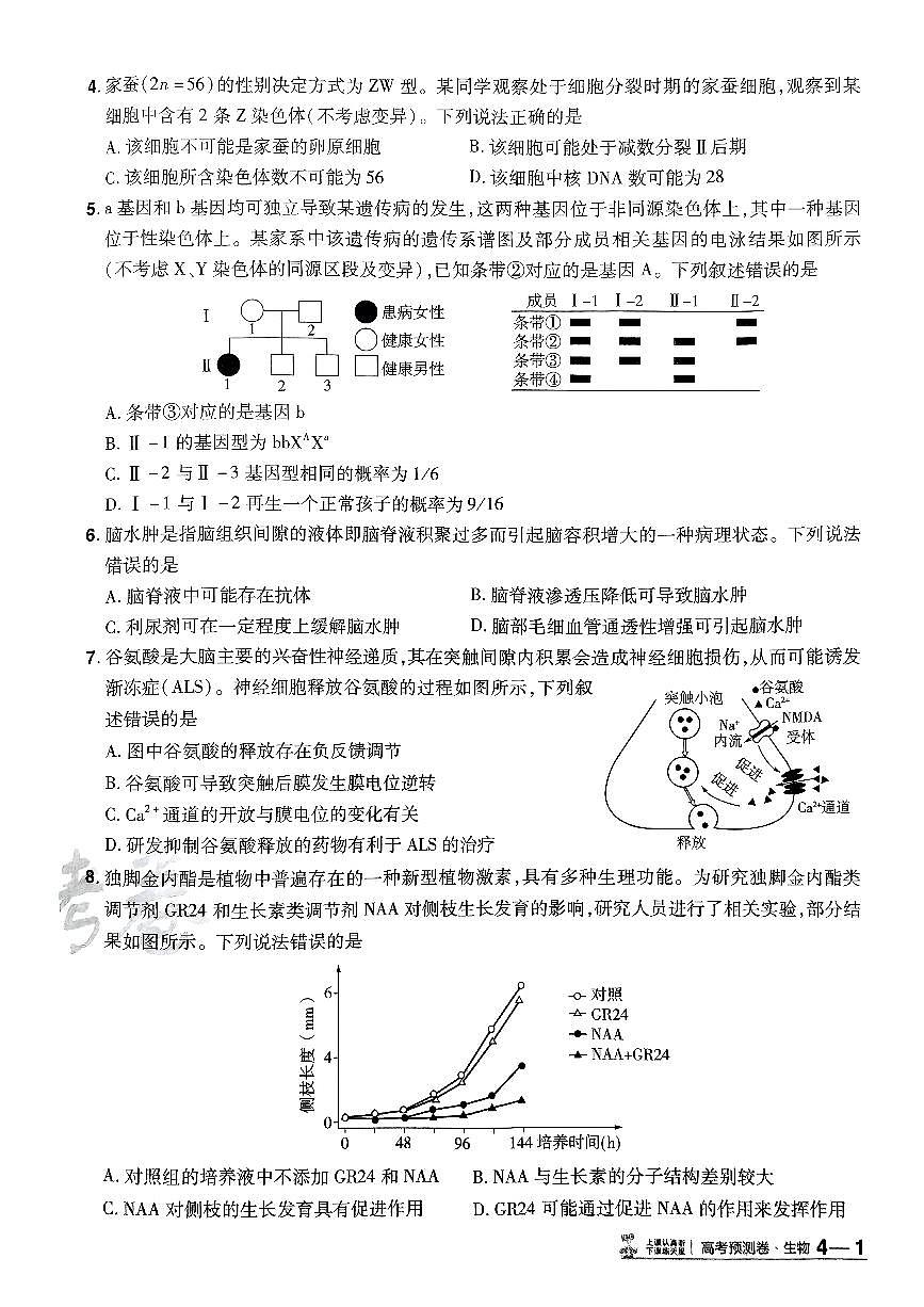 2025年高三生物高考金考卷高考押题预测卷模拟考试试卷四(全国卷)及其答案第2页