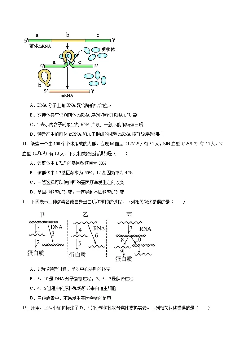 江苏省连云港市2023-2024学年高一下学期6月期末考试生物试卷含答案第3页