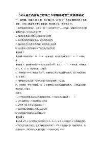2024届江西省九江市高三下学期高考第二次模拟考试生物试卷（解析版）