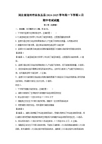 河北省沧州市运东五县2024-2025学年高一下学期4月期中考试生物试卷（解析版）