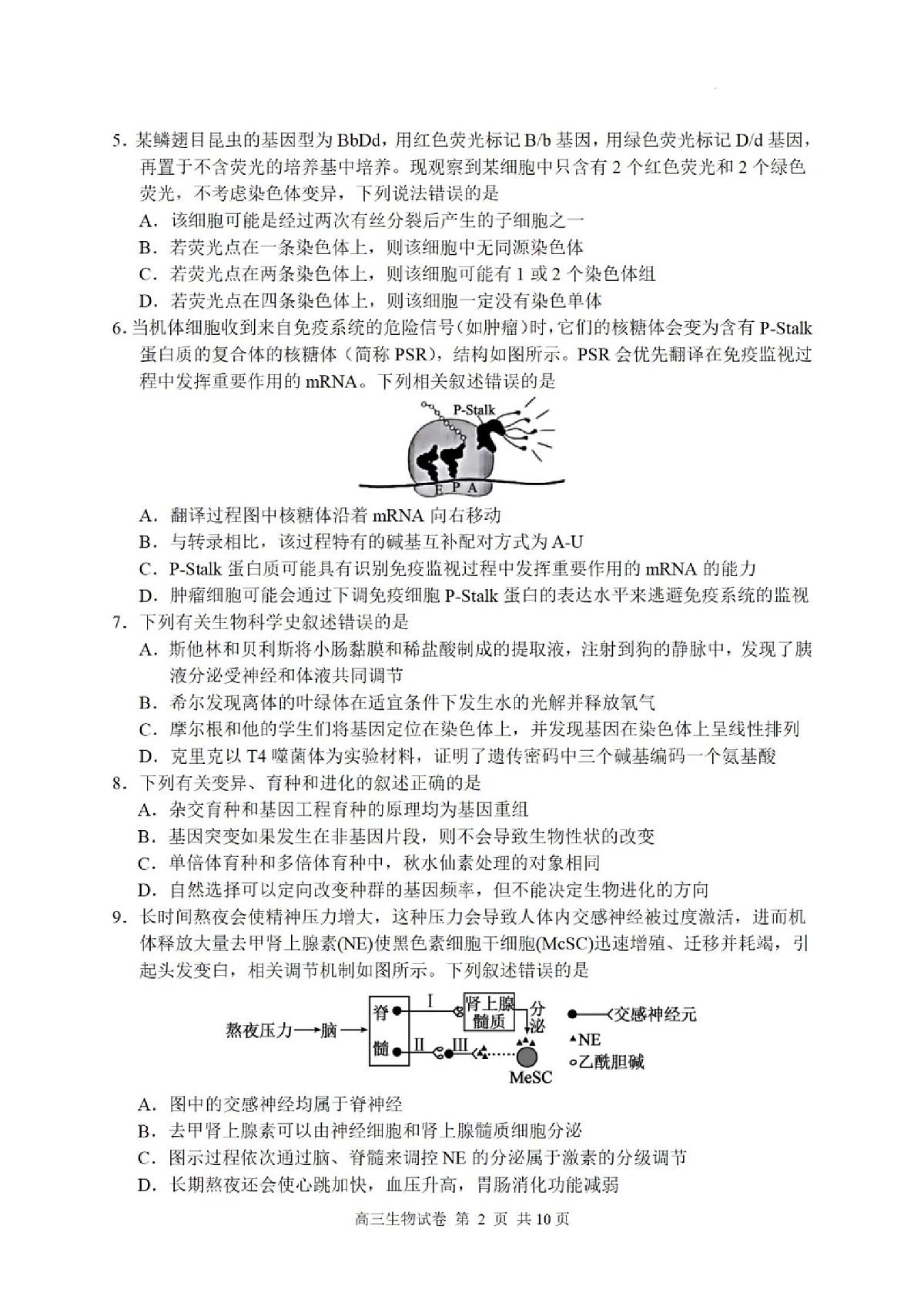 2025届江苏省盐城市高三考前指导卷 生物试题及答案第2页