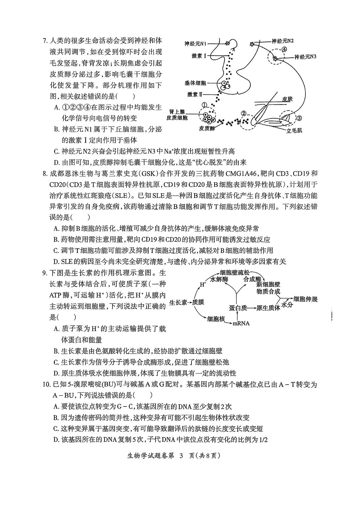 安徽省芜湖市2025届高三下学期5月二模试题 生物 PDF版含答案第3页