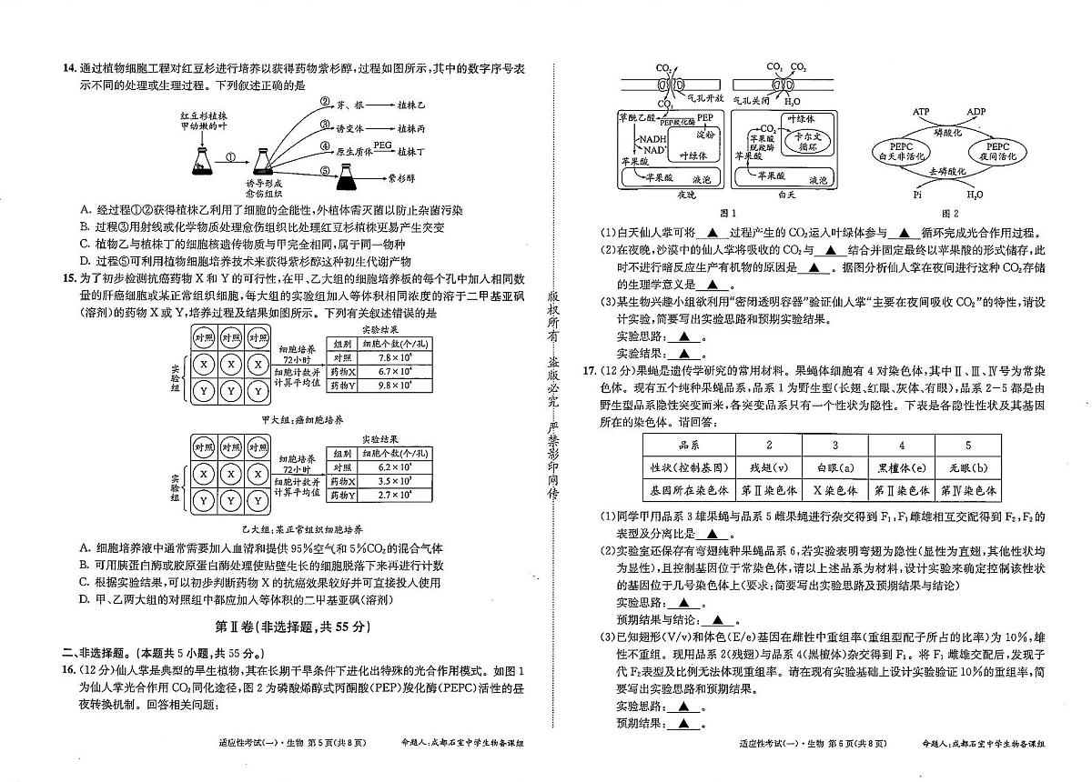 成都石室中学2024-2025学年度下期高2025届适应性考试(一) 生物第3页