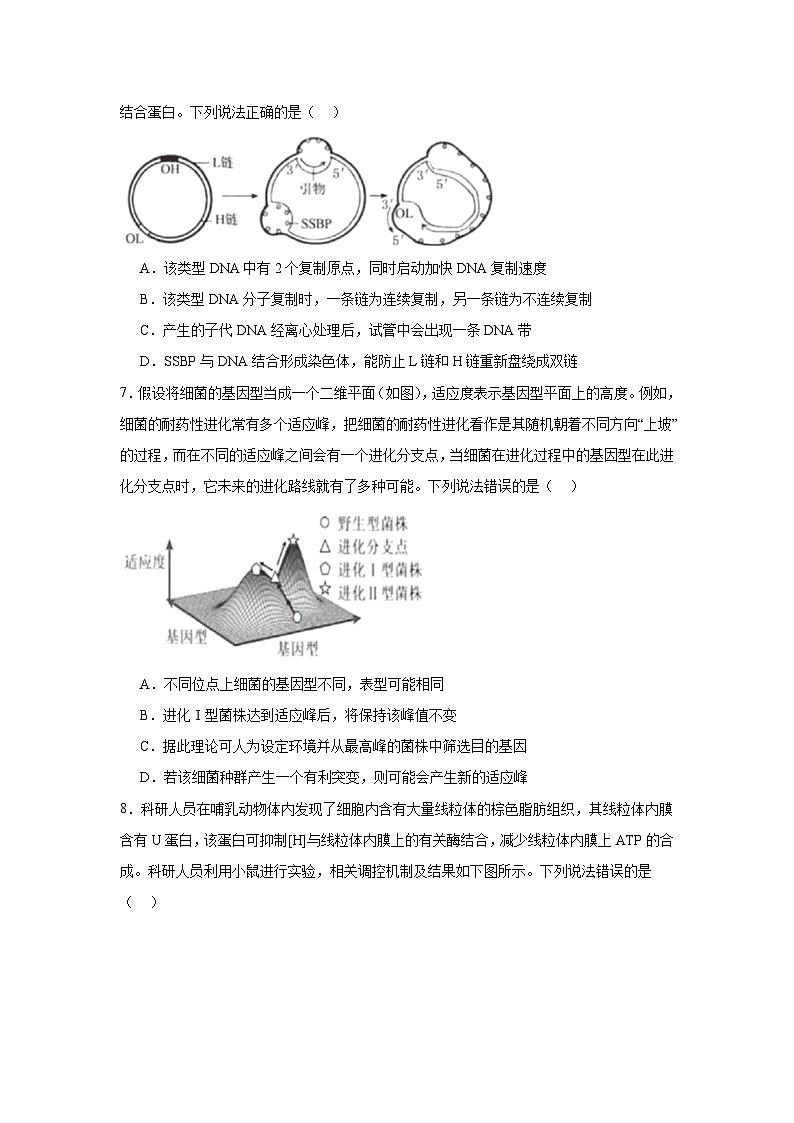2025届山东省青岛市高三下学期5月三模生物试题(无答案)第3页
