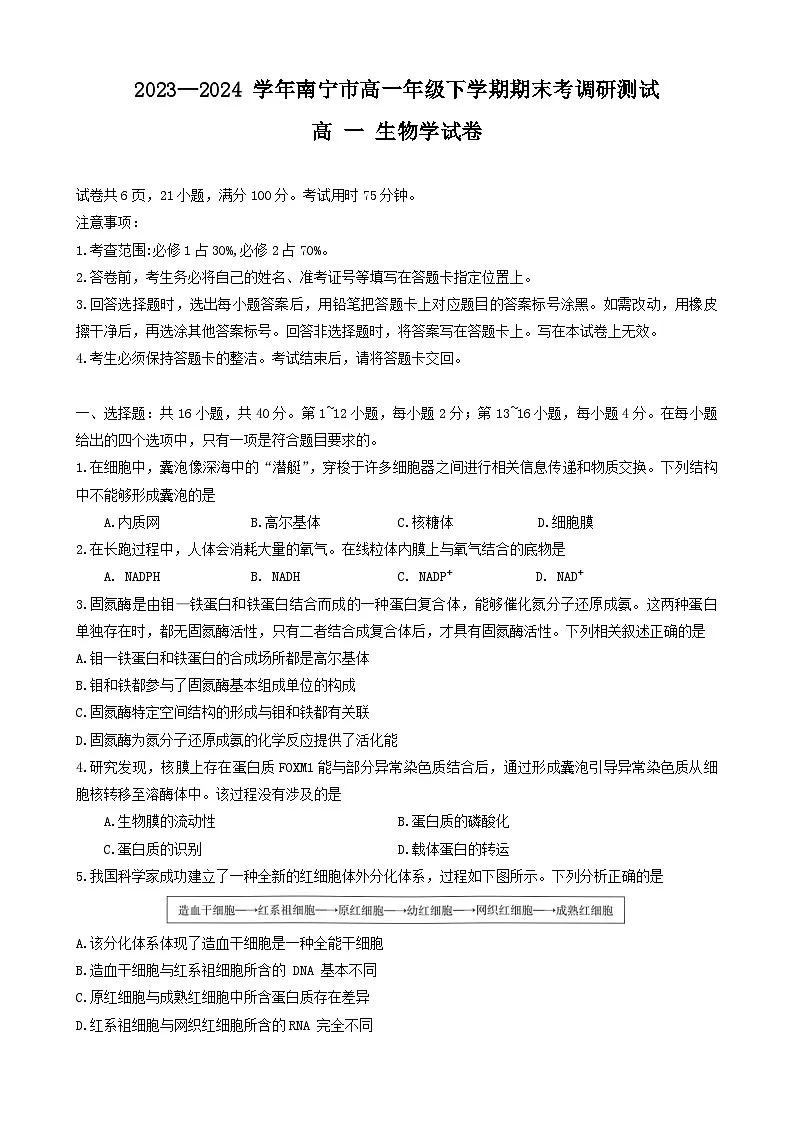 广西南宁市2023-2024学年高一下学期期末考调研测试生物试题第1页
