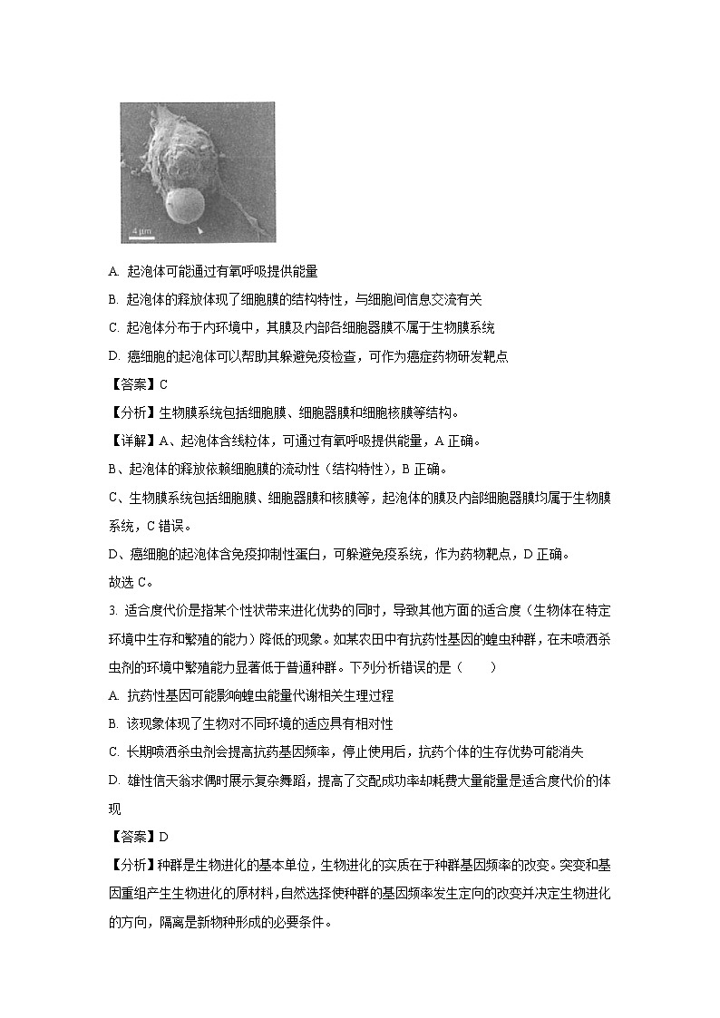 湖北省“新八校”协作体2025届高三下5月联考生物试卷(解析版)第2页