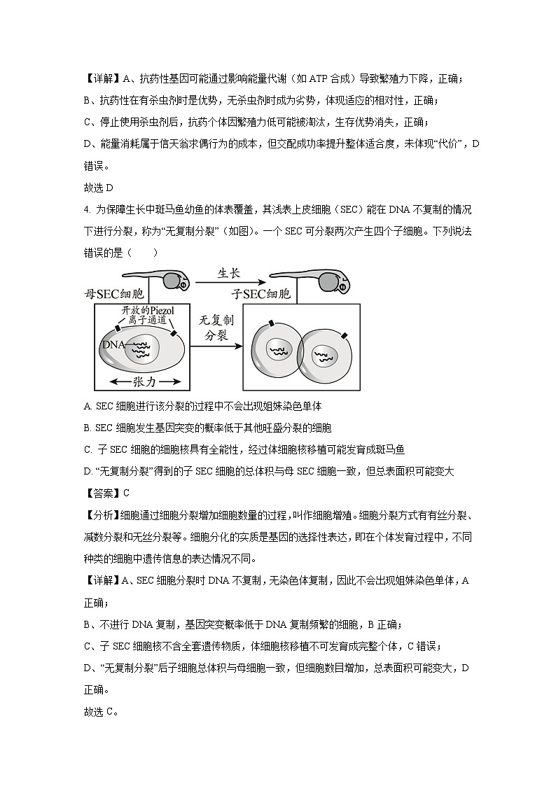 湖北省“新八校”协作体2025届高三下5月联考生物试卷(解析版)第3页