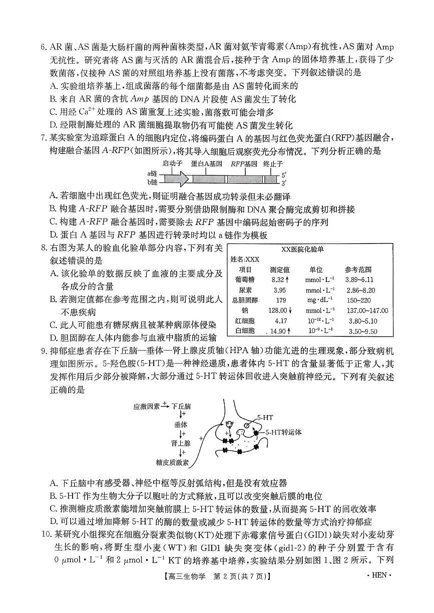 河南省创新发展联盟2025届高三下学期适应性考试生物试卷(图片版,含解析)第2页