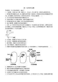 湖北省重点高中智学联盟2024-2025学年高一下学期5月联考生物试卷（Word版附解析）