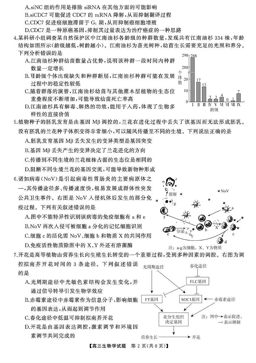 生物-湖南天壹2025届高考模拟冲刺压轴大联考试题及答案第2页
