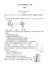 北京市朝阳区2025年高考二模生物试卷（含答案）