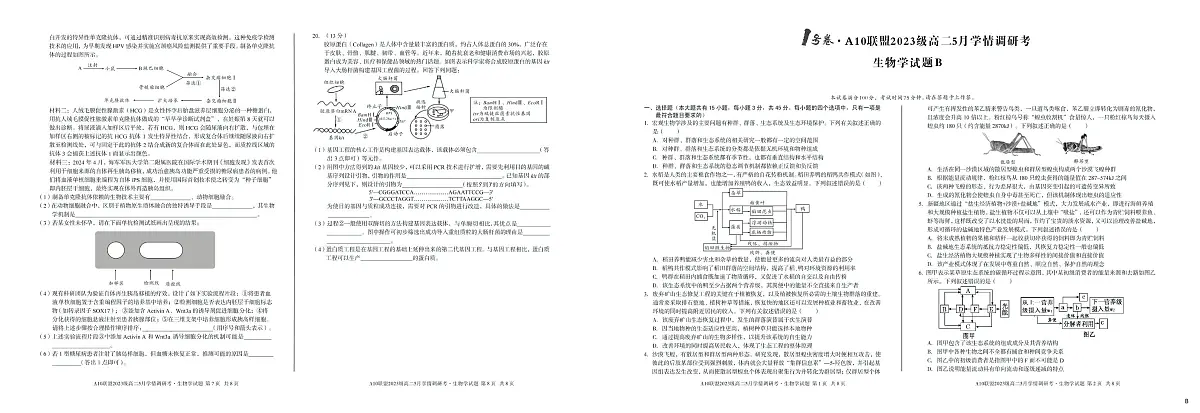 【生物(B卷)】1号卷·A10联盟2023级高二5月学情调研考第1页