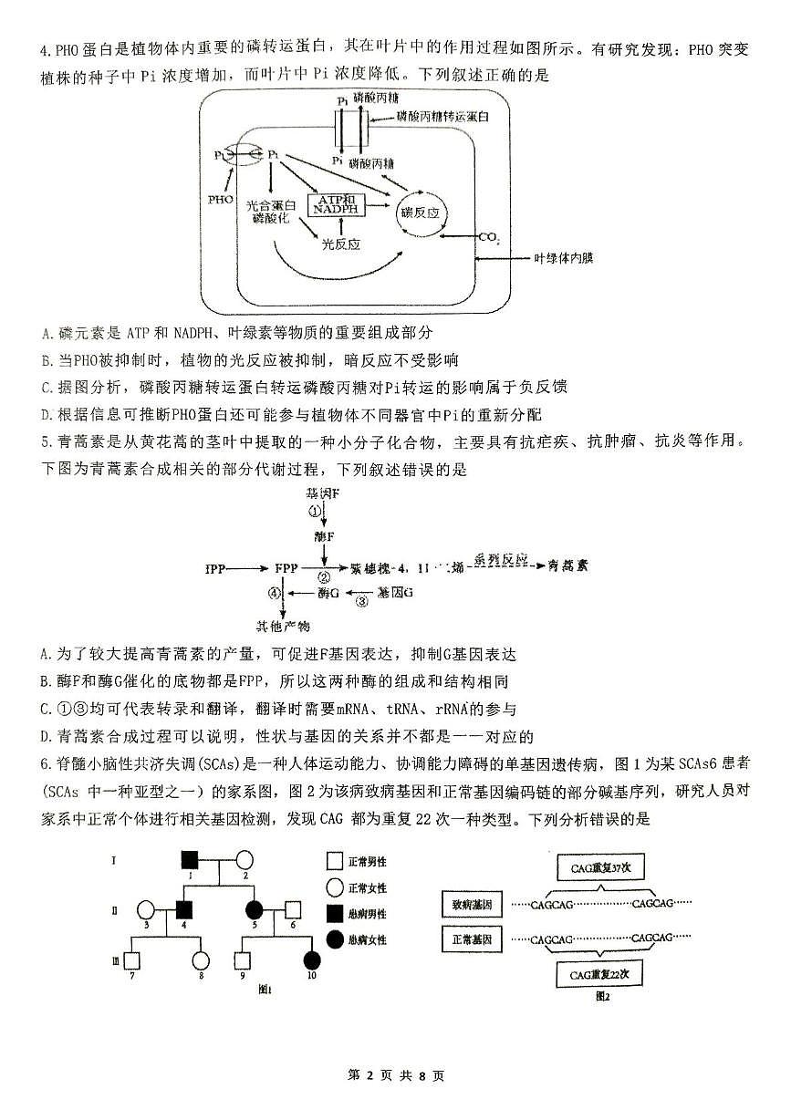 2025届安徽省淮北市相山区安徽省淮北市第一中学高三下学期最后一卷生物试题第2页