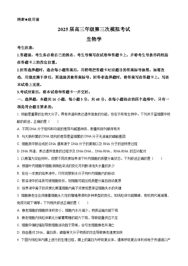 2025届河南省新乡市高三下学期三模生物试题第1页