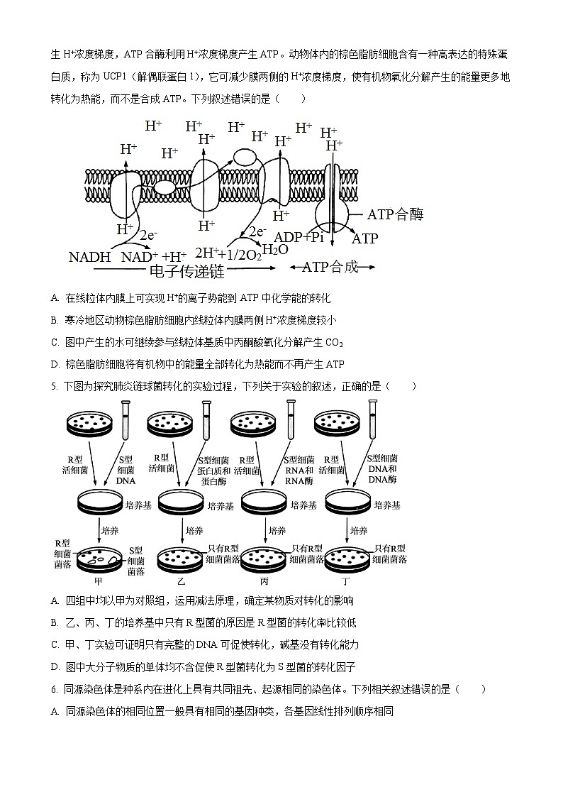 2025届河南省新乡市高三下学期三模生物试题第2页